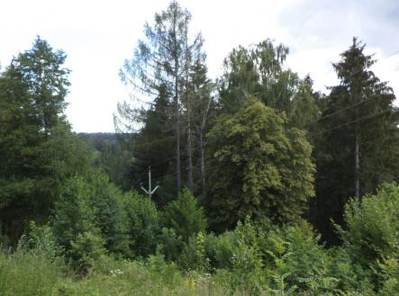 Prodej - pozemek, trvalý travní porost, 766 m²
