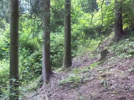Prodej - pozemek, trvalý travní porost, 766 m²