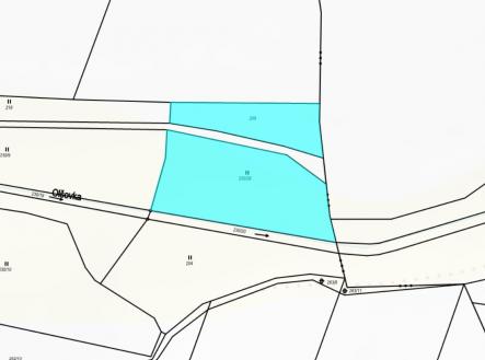 Prodej - pozemek, trvalý travní porost, 4 085 m²