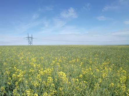 Prodej - pozemek, zemědělská půda, 11 854 m²