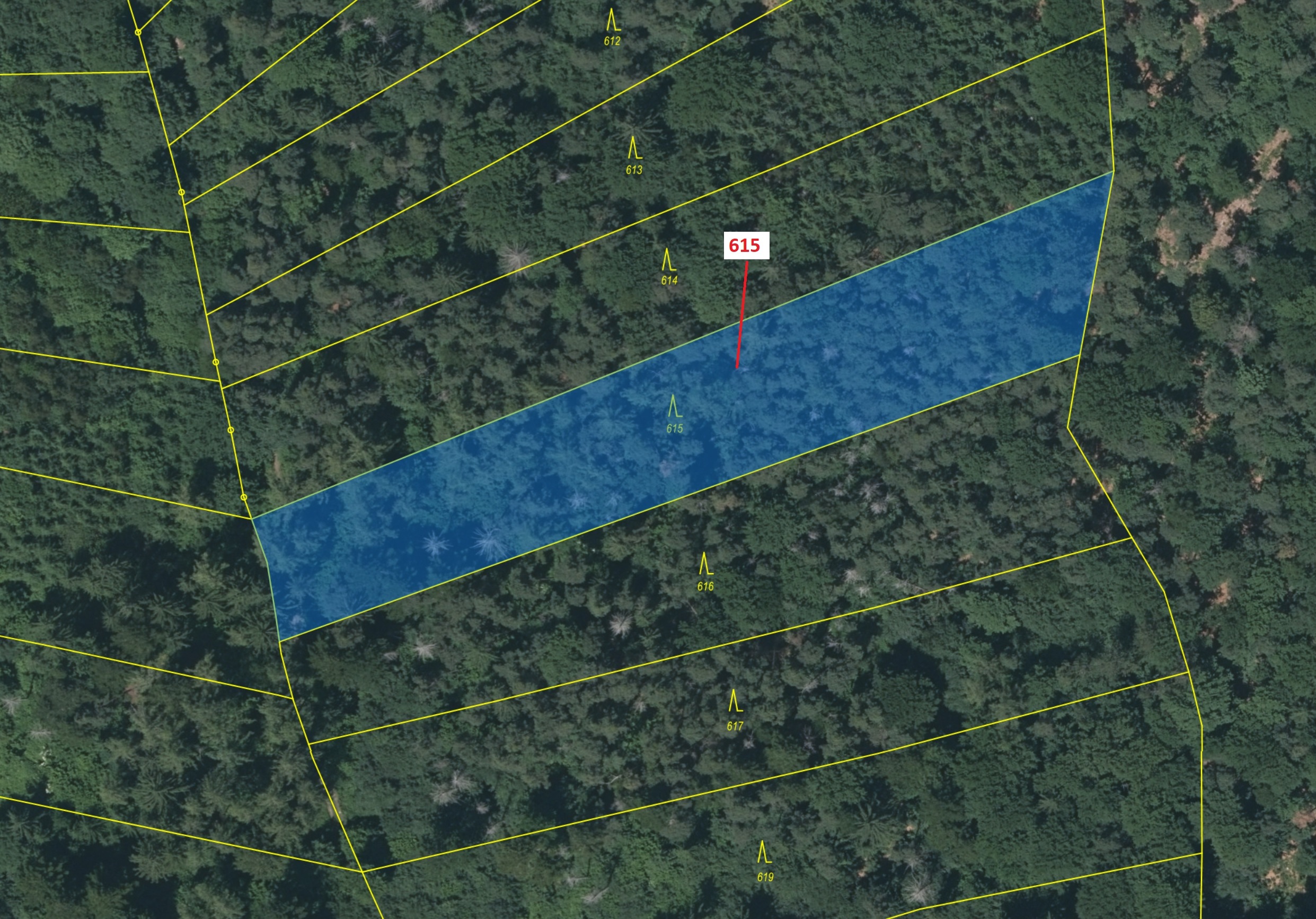 Lesní pozemek o výměře 4478 m2, podíl 1/1, katastrální území Čepice, obec Rabí, obec s rozšířenou pů