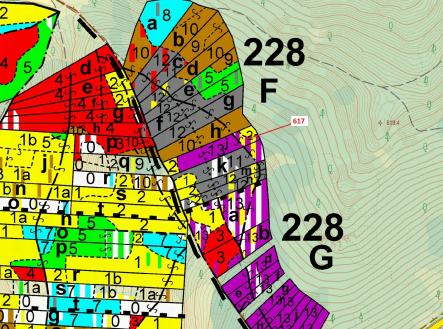 Prodej - pozemek, les, 4 280 m²