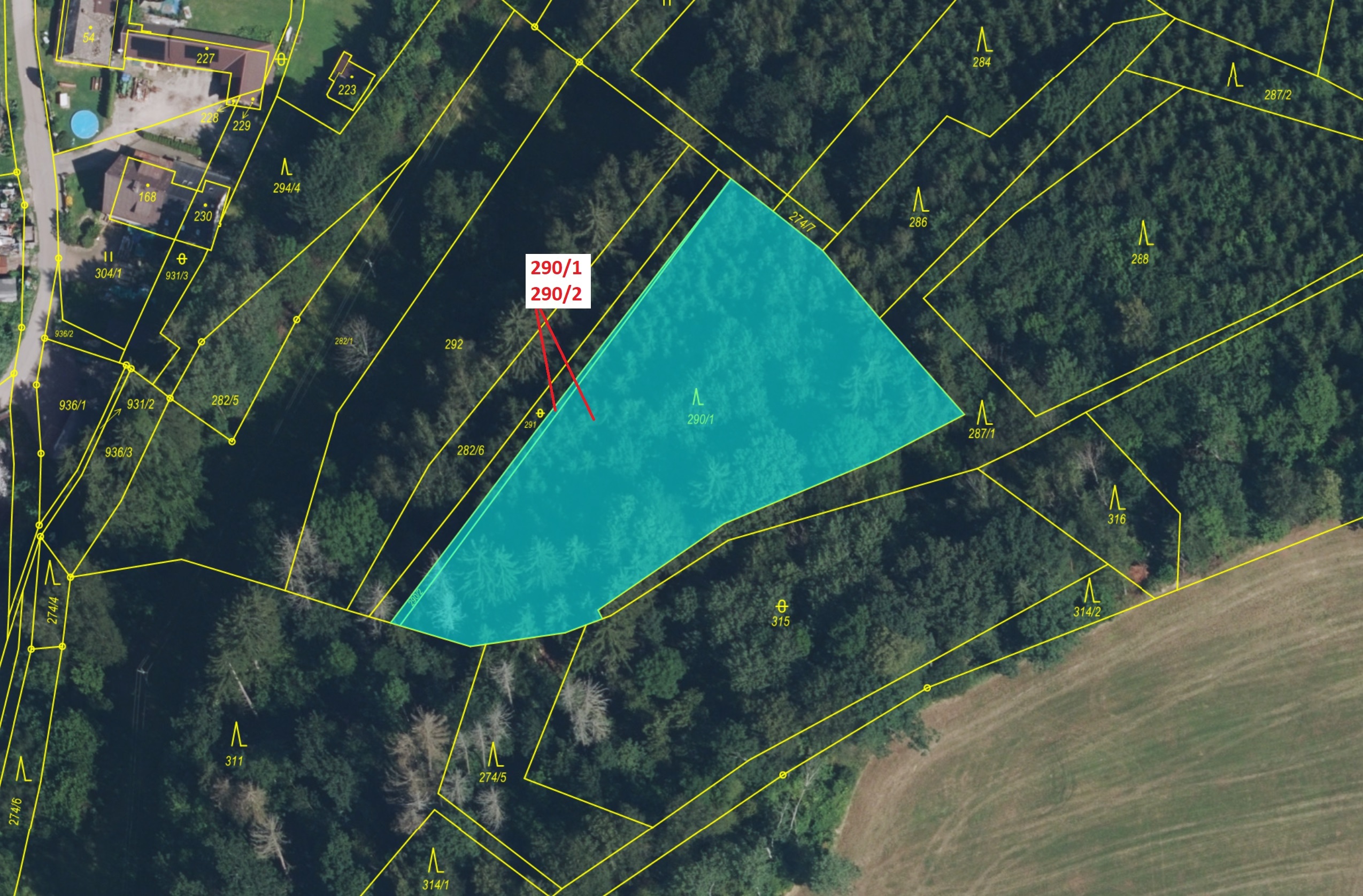 Lesní pozemky o výměře 3359 m2, podíl 1/1, katastrální území Arnultovice, obec Rudník, obec s rozšíř