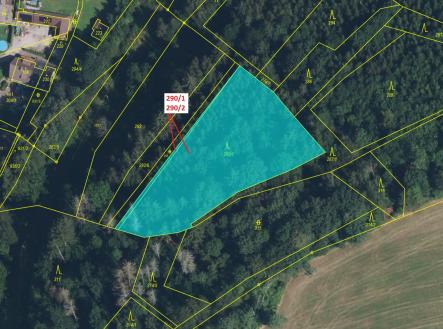 Prodej - pozemek, les, 3 359 m²