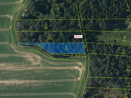 Prodej - pozemek, les, 883 m²