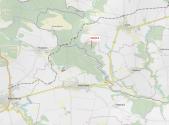 Prodej - pozemek, les, 833 m²