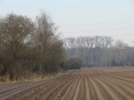 Prodej - pozemek, zemědělská půda, 22 578 m²