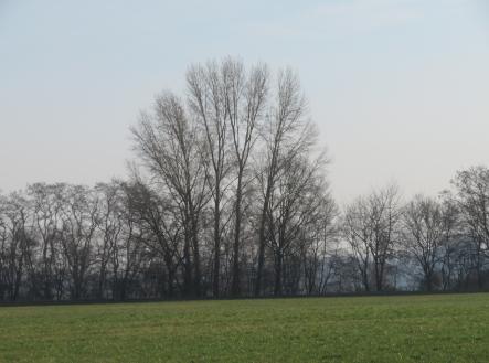 Prodej - pozemek, zemědělská půda, 22 578 m²