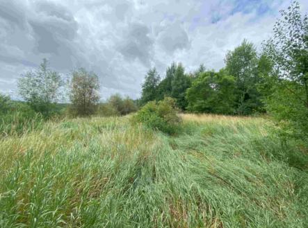 Prodej - pozemek, trvalý travní porost, 2 675 m²