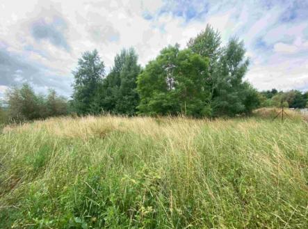 Prodej - pozemek, trvalý travní porost, 2 675 m²