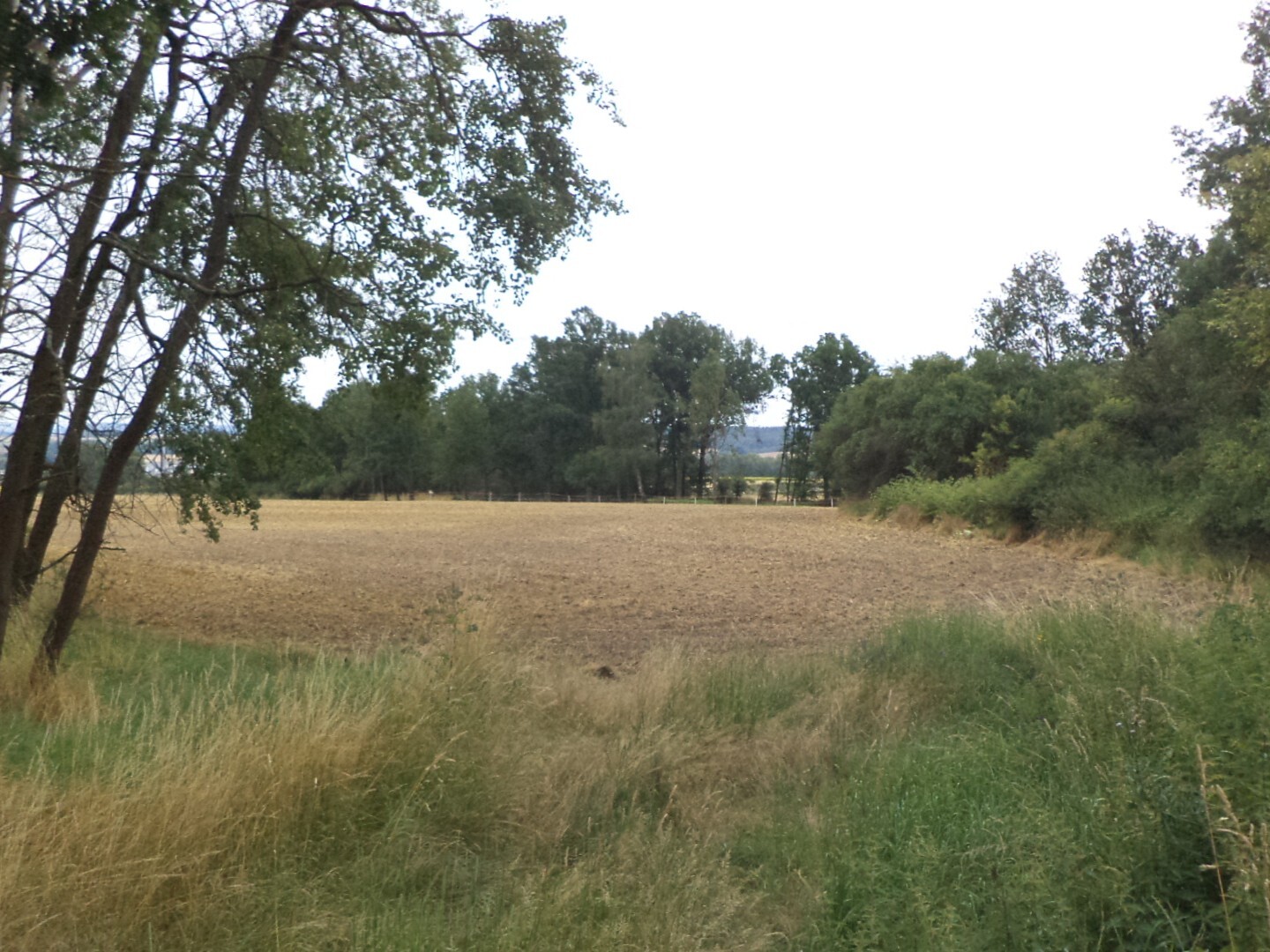 Pozemek o velikosti 1100m2, Vlkýš
