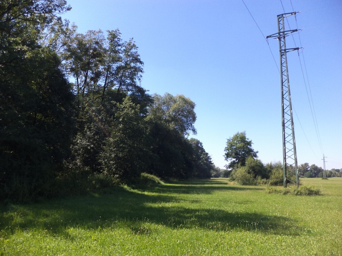 Pozemek o velikosti 591m2, Studénka nad Odrou, podíl 1/8