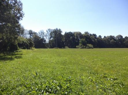 Prodej - pozemek, trvalý travní porost, 4 728 m²