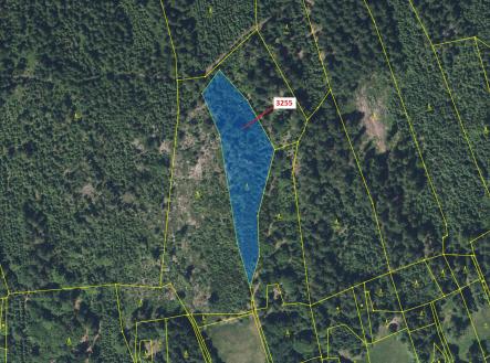 Prodej - pozemek, les, 6 125 m²