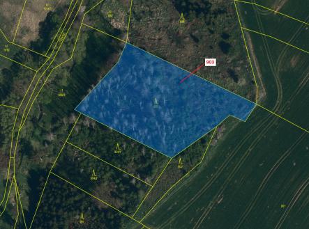 Prodej - pozemek, les, 4 900 m²
