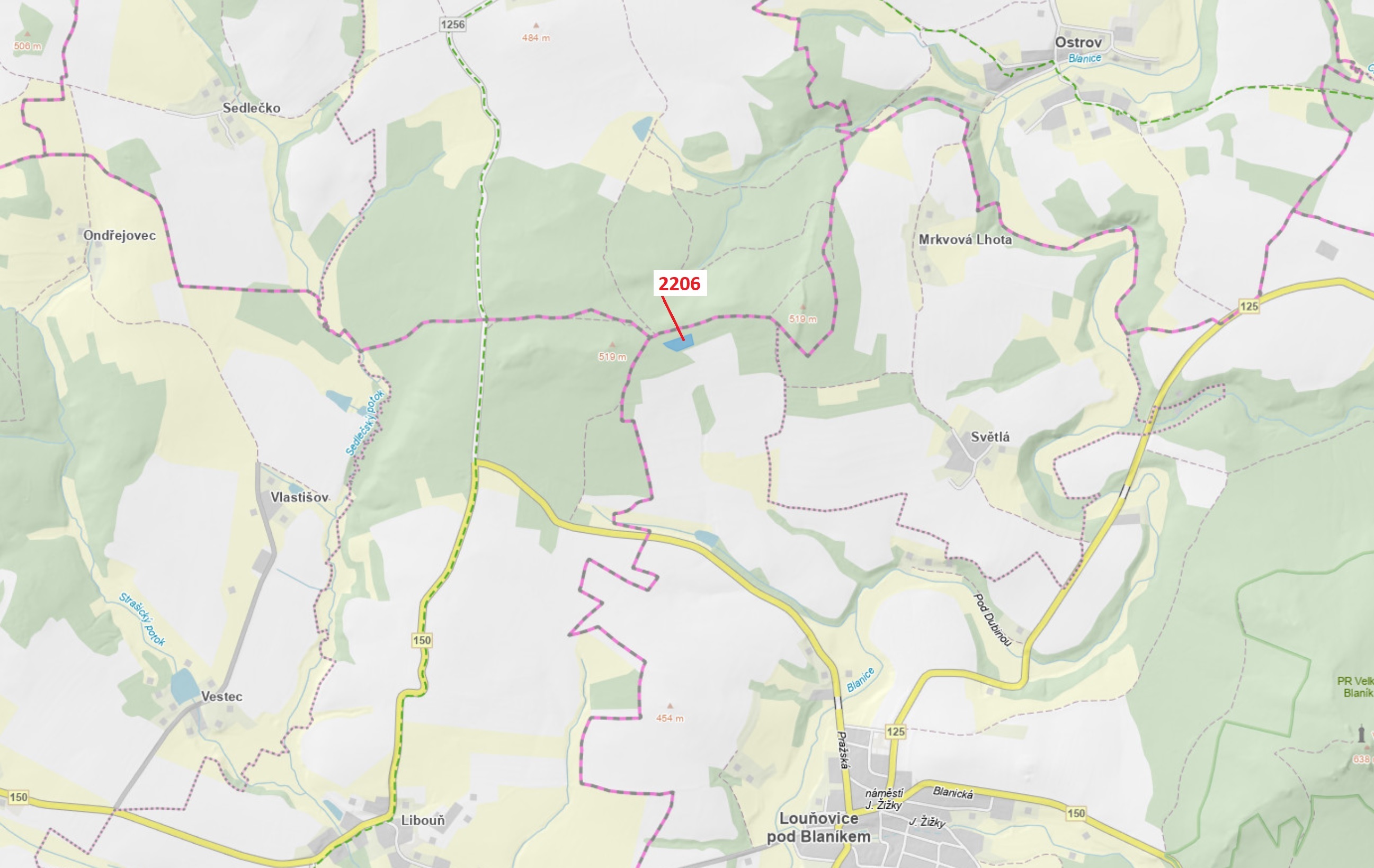 Lesní pozemek o výměře 4560 m2, podíl 1/1, katastrální území Louňovice pod Blaníkem, obec Louňovice 