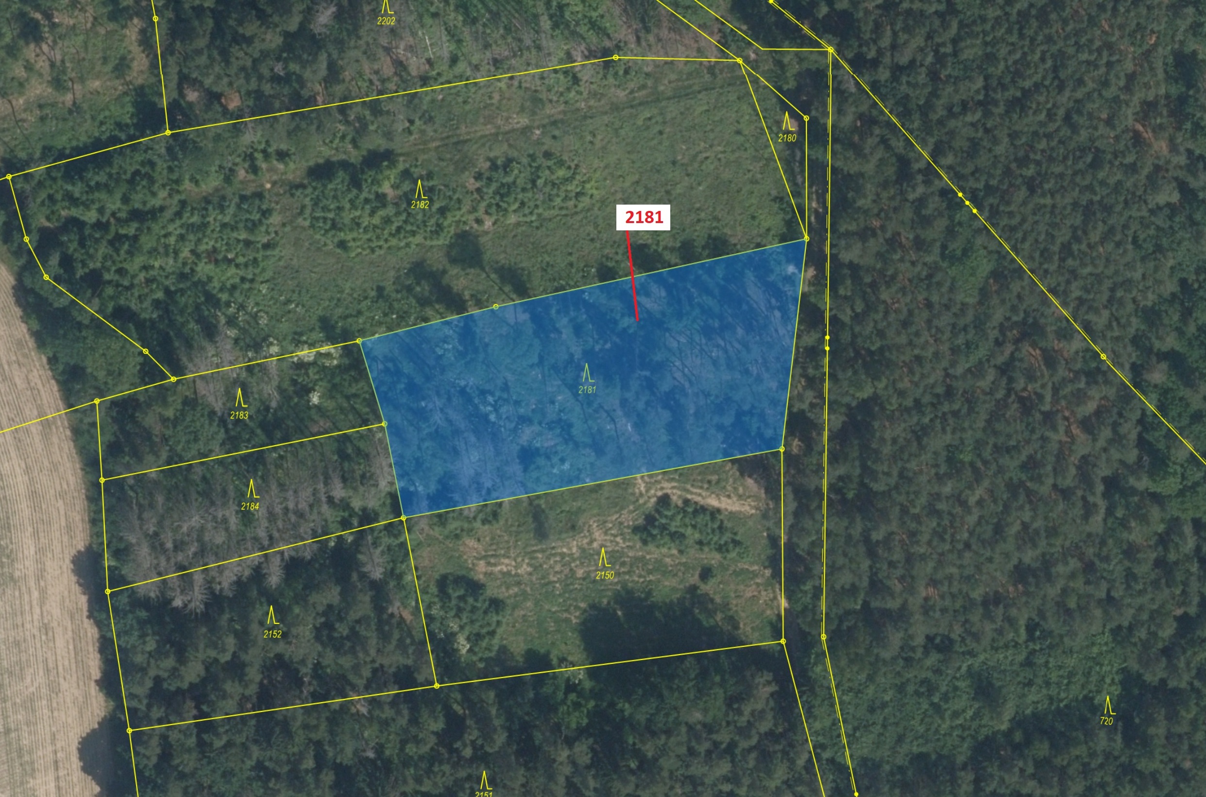 Lesní pozemek o výměře 4236 m2, podíl 1/1, katastrální území Louňovice pod Blaníkem, obec Louňovice 