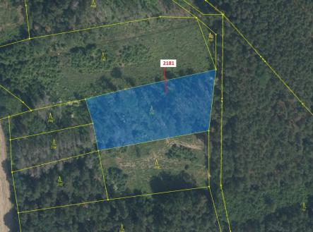 Prodej - pozemek, les, 4 236 m²