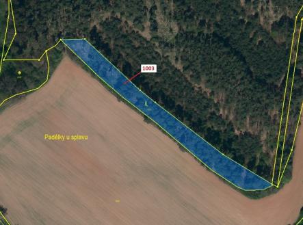 Prodej - pozemek, les, 3 001 m²