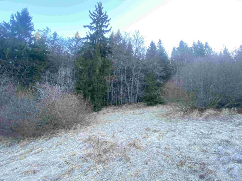 Pozemek o velikosti 2377m2, Železná Ruda