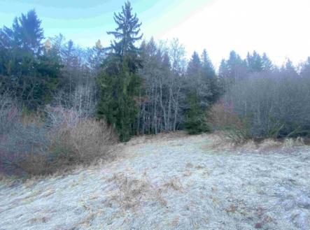 Prodej - pozemek, ostatní, 2 377 m²