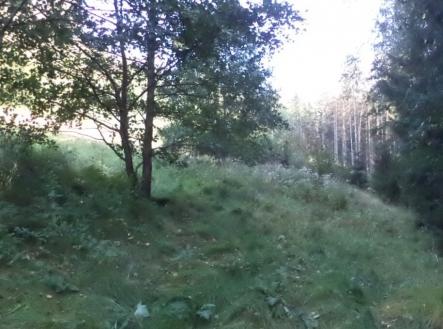 Prodej - pozemek, trvalý travní porost, 496 m²