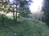 Prodej - pozemek, trvalý travní porost, 496 m²