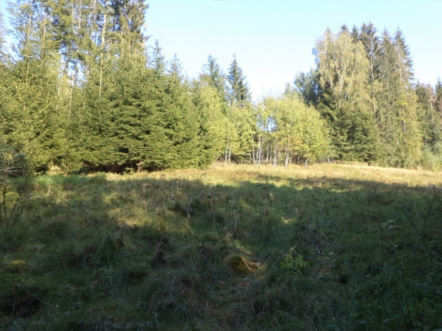Pozemek o velikosti 496m2, Roztoky u Semil