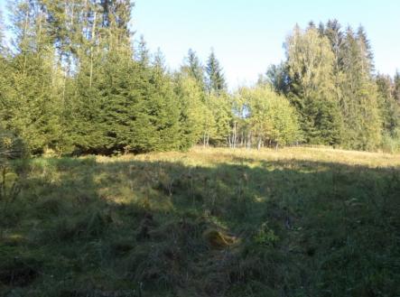 Prodej - pozemek, trvalý travní porost, 496 m²