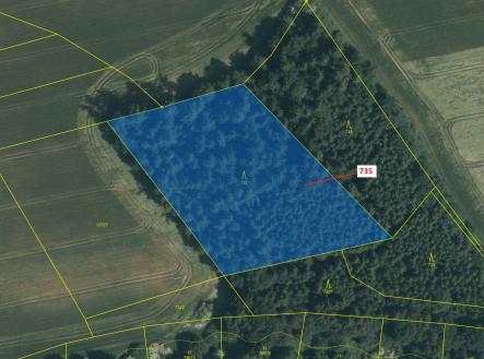 Prodej - pozemek, les, 6 963 m²