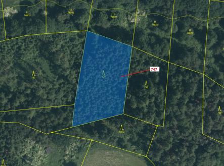 Prodej - pozemek, les, 3 010 m²