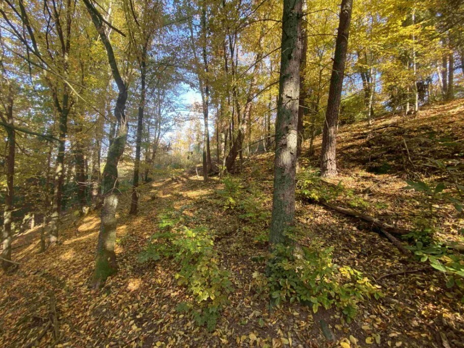 Pozemek o velikosti 2828m2, Střevelná