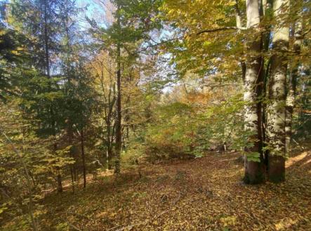 Prodej - pozemek, ostatní, 2 828 m²