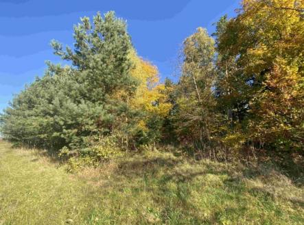 Prodej - pozemek, ostatní, 2 828 m²