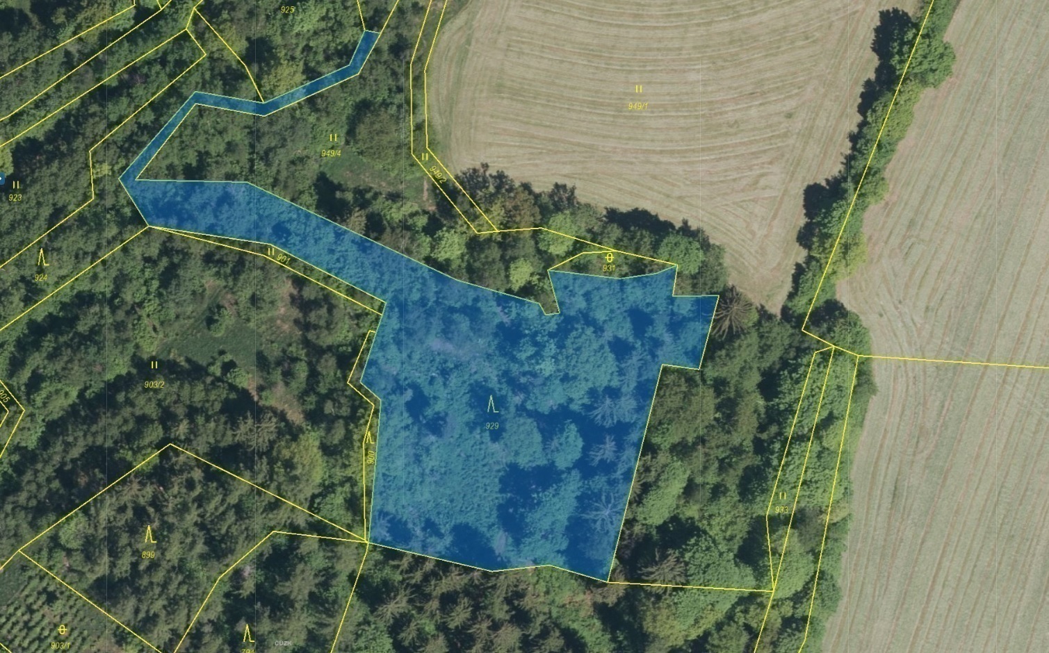 Lesní pozemek o výměře 5 736 m2, podíl 1/1, katastrální území Setěchovice, obec Zálezly, obec s rozš