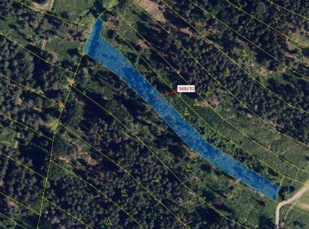 Prodej - pozemek, les, 3 557 m²