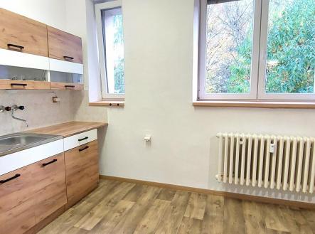 20231030_154433.jpg | Pronájem bytu, 1+kk, 26 m²