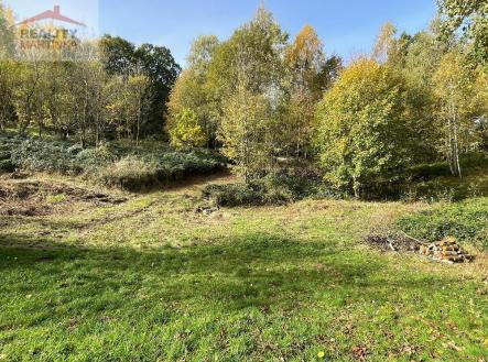 IMG_0034.JPG | Prodej - pozemek pro bydlení, 6 435 m²