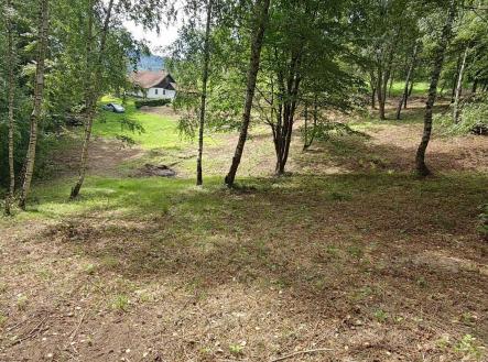 Prodej - pozemek pro bydlení, 6 435 m² obrázek