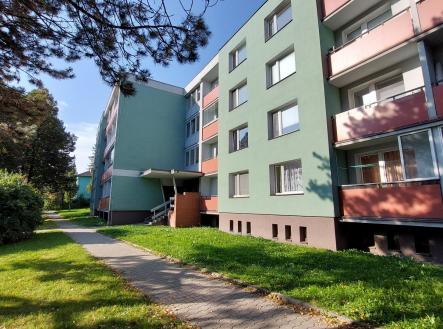 20210914_085855.jpg | Pronájem bytu, 1+kk, 24 m²