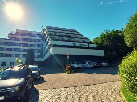 20240612_172731.jpg | Pronájem bytu, 1+kk, 21 m²