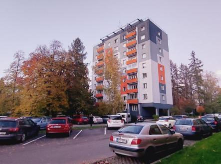 20241024_175144.jpg | Pronájem bytu, 1+kk, 24 m²