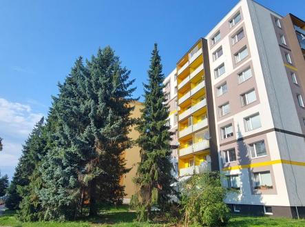 20240717_172115.jpg | Prodej bytu, 1+kk, 27,6 m²