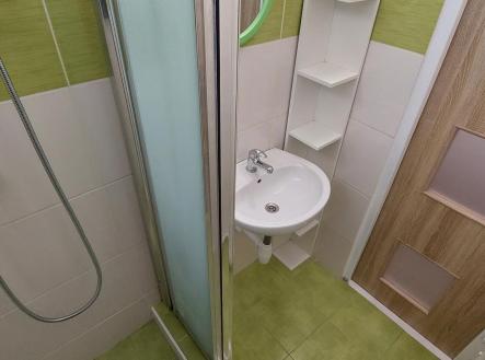 20231018_171150.jpg | Pronájem bytu, 1+kk, 24 m²