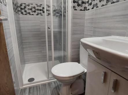 20260310_110854.jpg | Prodej bytu, 1+kk, 19,2 m²