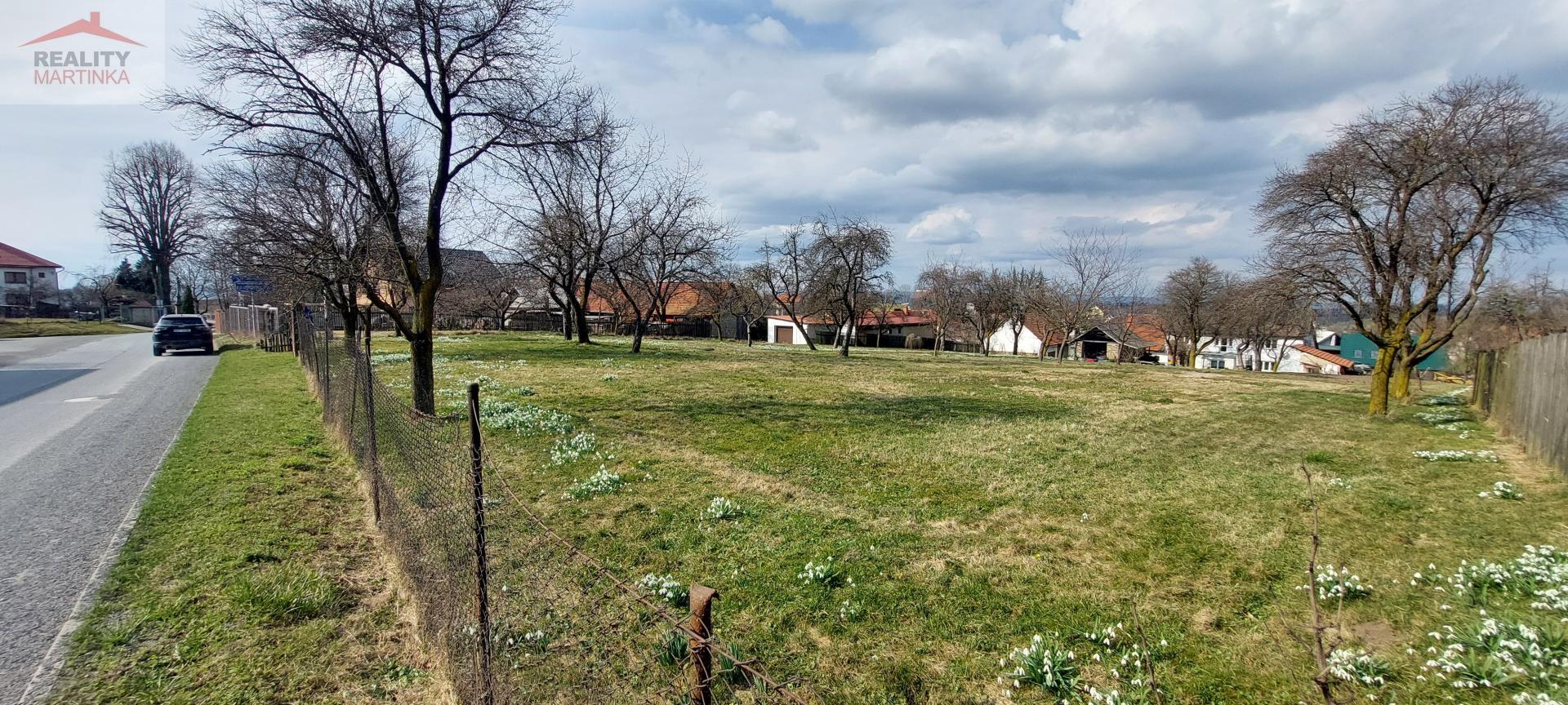20260312_131029.jpg