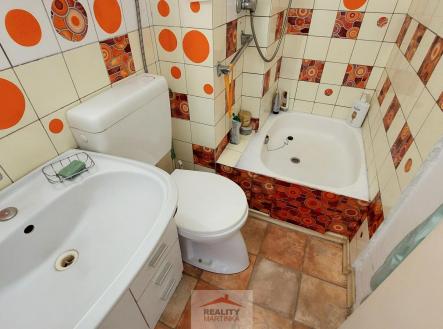 20210810_083616.jpg | Pronájem bytu, 1+kk, 24 m²