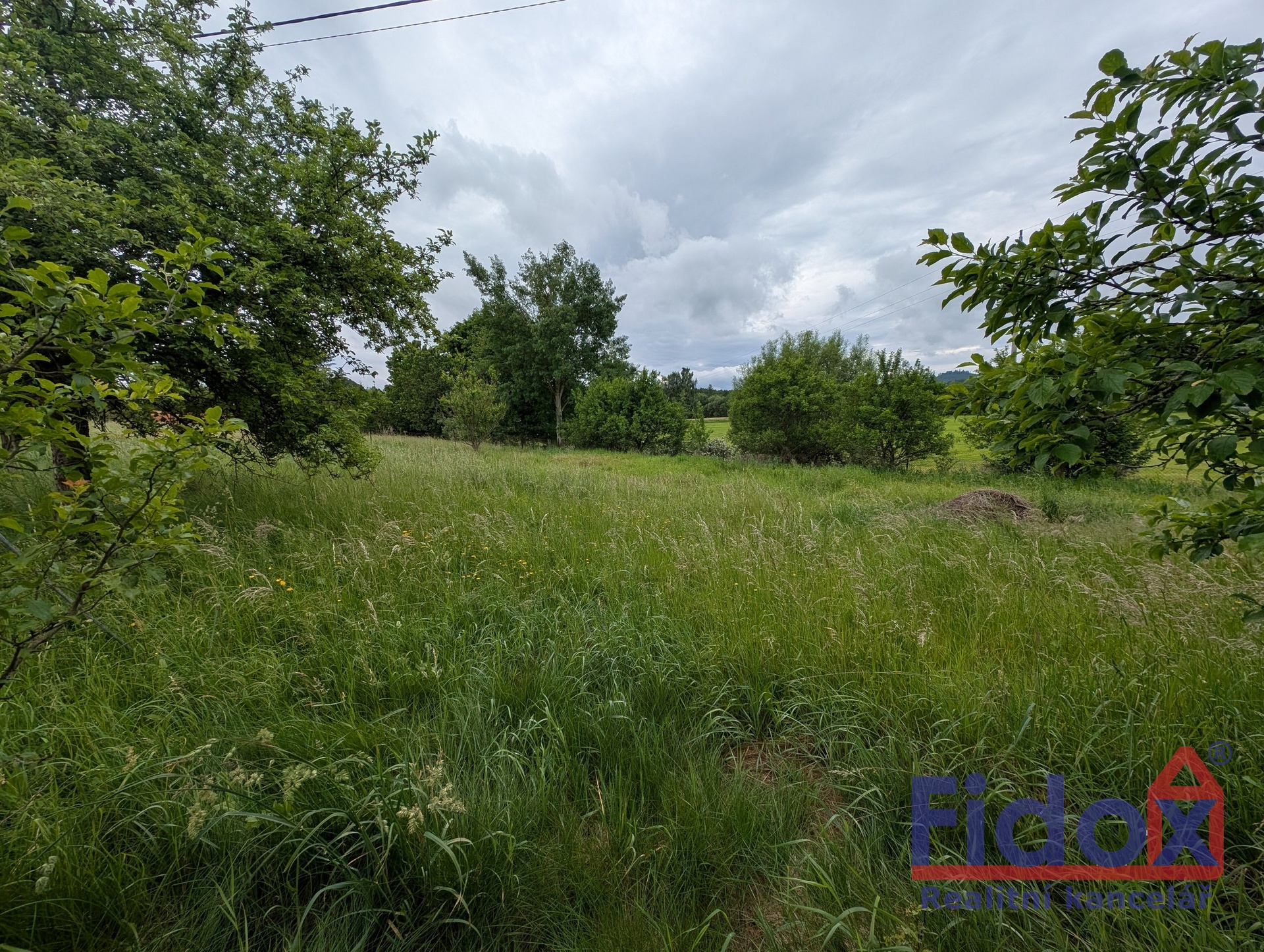 PXL_20250605_083547147