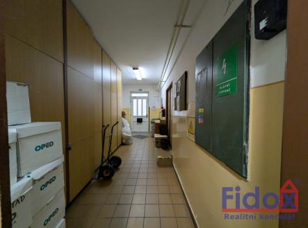 1 podlaží Chodba 5 | Prodej - obchodní prostor, 482 m²