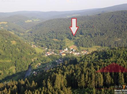 03-flyfoto.jpg | Prodej - pozemek, trvalý travní porost, 13 819 m²